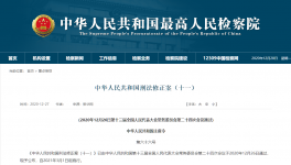 中华人民共和国刑法修正案（十一）