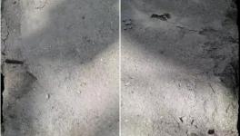 春江丰华水泥质量不合格！多地监管部门全面督查！
