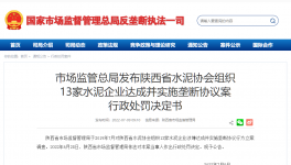 陕西水泥协会及13家水泥企业被罚4.51亿！