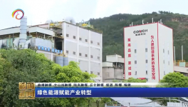 海螺水泥两家工厂同一天都上电视啦！